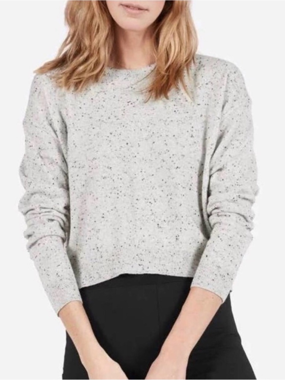 Everlane Cashmere Classic Crew Sweater in Speckled Cream | Medium